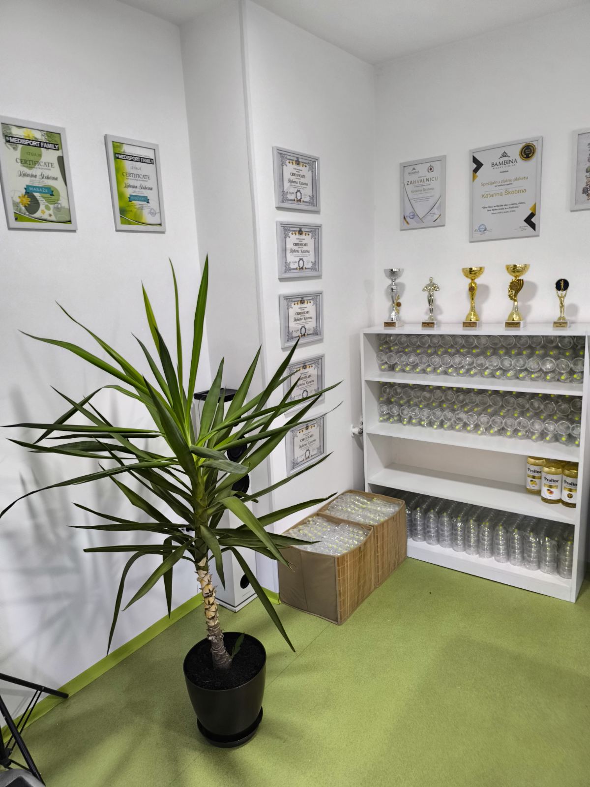Therapy Room