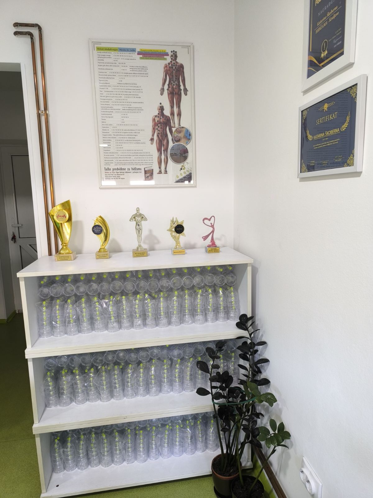 Clinical Standards